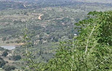 LUXURY LIVING IN SHIMBA HILLS -HIDDEN GEM, GOLINI RIDGE