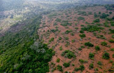 4 ACRES ON GOLINI RIDGE – KSH 22 MILLION