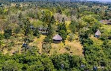 LUXURY LIVING IN SHIMBA HILLS -HIDDEN GEM, GOLINI RIDGE