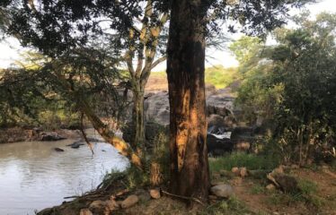 628 ACRES OF PRIME RANCH LAND FOR SALE IN LAIKIPIA WEST