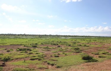 628 ACRES OF PRIME RANCH LAND FOR SALE IN LAIKIPIA WEST