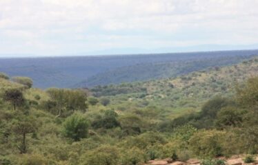 628 ACRES OF PRIME RANCH LAND FOR SALE IN LAIKIPIA WEST