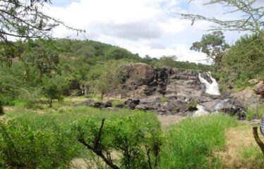 628 ACRES OF PRIME RANCH LAND FOR SALE IN LAIKIPIA WEST