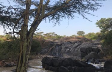 628 ACRES OF PRIME RANCH LAND FOR SALE IN LAIKIPIA WEST