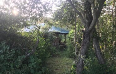 628 ACRES OF PRIME RANCH LAND FOR SALE IN LAIKIPIA WEST