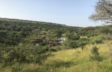 628 ACRES OF PRIME RANCH LAND FOR SALE IN LAIKIPIA WEST