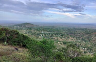 LUXURY LIVING IN SHIMBA HILLS -HIDDEN GEM, GOLINI RIDGE