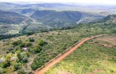 SHIMBA HILLS – 4 ACRES ON GOLINI RIDGE