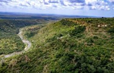 SHIMBA HILLS – 4 ACRES ON GOLINI RIDGE