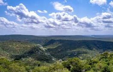 SHIMBA HILLS – 4 ACRES ON GOLINI RIDGE