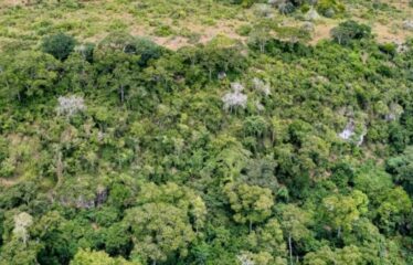 SHIMBA HILLS – 4 ACRES ON GOLINI RIDGE