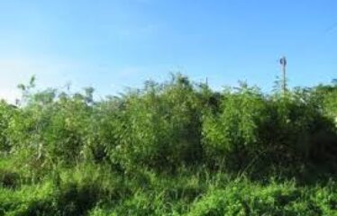 3.89 ACRES OF LAND FOR SALE, SHANZU – MOMBASA