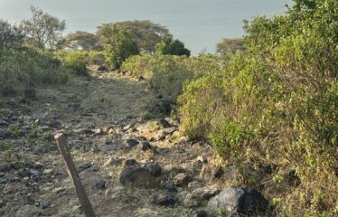 PRIME 21.2 ACRE LAKEFRONT PROPERTY – NAIVASHA