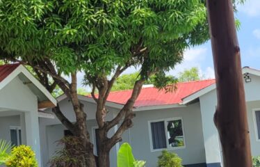 TROPICAL INVESTMENT OPPORTUNITY – GALU