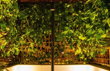 FOR SALE – EXQUISITE COASTAL VILLA – WHERE SOPHISTICATION MEETS SERENITY (POA)