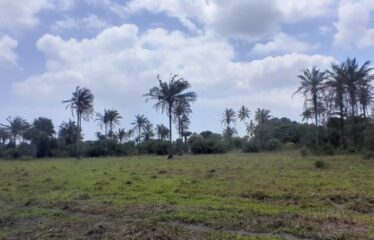 100 ACRES FOR SALE, MAJORENI – NEAR MRIMA HILL, KWALE COUNTY 