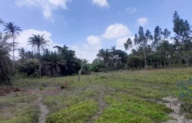 100 ACRES FOR SALE, MAJORENI – NEAR MRIMA HILL, KWALE COUNTY 