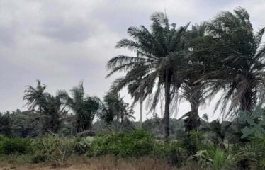 100 ACRES FOR SALE, MAJORENI – NEAR MRIMA HILL, KWALE COUNTY 