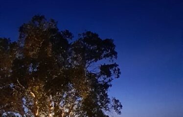 GODONI RIDGE HOUSE , SHIMBA HILLS – FOR SALE