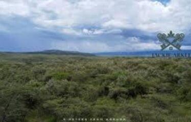 PRIME 21.2 ACRE LAKEFRONT PROPERTY – NAIVASHA