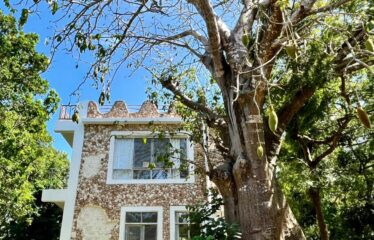 BEACHFRONT PARADISE FOR SALE – DIANI