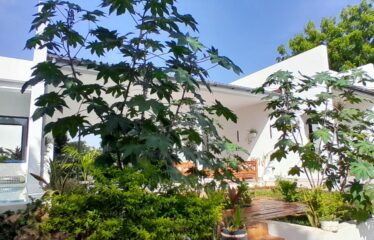 EXQUISITE MODERN HOME FOR SALE IN DIANI