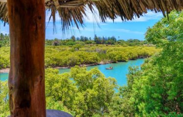 PRIME KONGO RIVERFRONT LUXURY – DIANI BEACH, KENYA 
