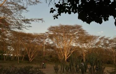 15 ACRE ELEMENTAITA LAKEFRONT PROPERTY FOR SALE