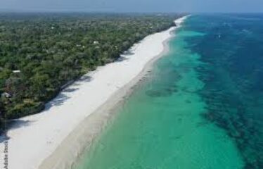 0.48 ACRES OF PRIME DEVELOPMENT LAND FOR SALE – DIANI BEACH RD.