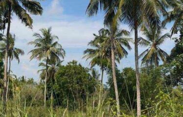 10 ACRES PRIME LAND MABOKONI, SHIMBA HILLS