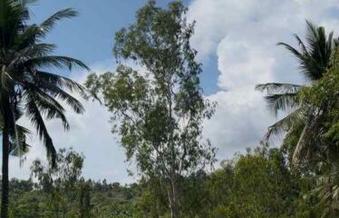10 ACRES PRIME LAND MABOKONI, SHIMBA HILLS